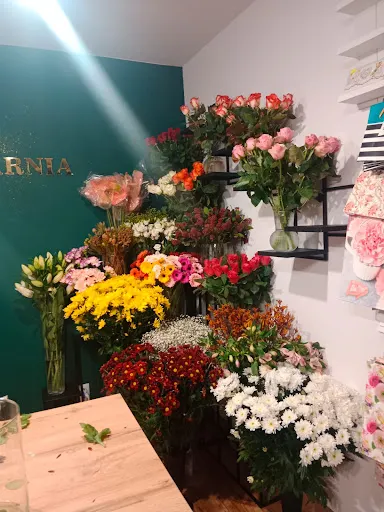 "Bukieciarnia" Pracownia Florystyczna